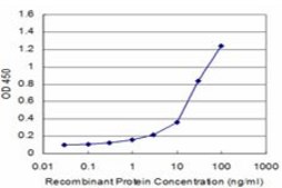 Monoclonal Anti-FUT7, (C-terminal) antibody produced in mouse clone 1C12, purified immunoglobulin, buffered aqueous solution
