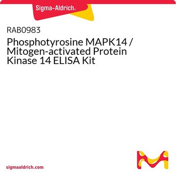 磷酸酪氨酸MAPK14 /丝裂原活化蛋白激酶14 ELISA试剂盒