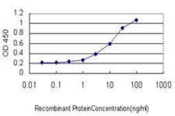 Monoclonal Anti-JMJD1C antibody produced in mouse clone 5F12, purified immunoglobulin, buffered aqueous solution