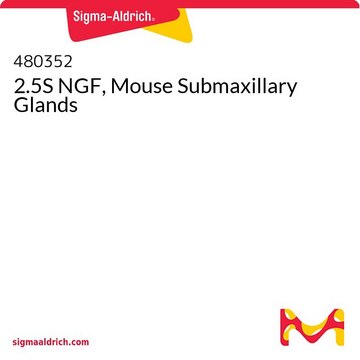 2.5S NGF, Mouse Submaxillary Glands