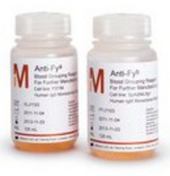 Intermediates For Further Manufacturing Use (FFMU) - Rare Specificities Anti-Fya from the clone P3TIM, Human IgG Antibody, Intermediate for further manufacturing use