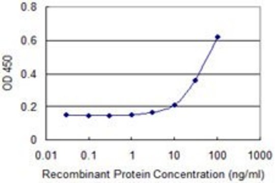 Monoclonal Anti-NR2F2 antibody produced in mouse clone 3B5, purified immunoglobulin, buffered aqueous solution