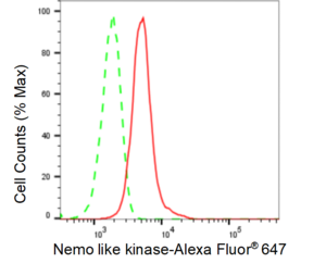KD-Validated Anti Nemo Like Kinase Antibody, clone 24GB585, Rabbit Monoclonal clone 24GB585, recombinant rabbit monoclonal, expressed in HEK293 cells