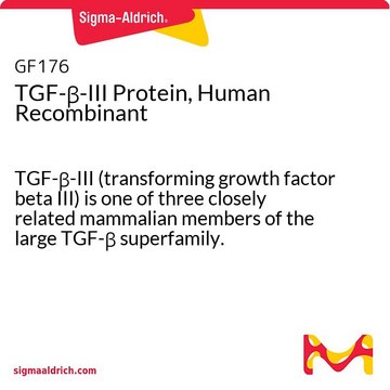 人重组TGF-&#946;-III蛋白 TGF-&#946;-III (transforming growth factor beta III) is one of three closely related mammalian members of the large TGF-&#946; superfamily.