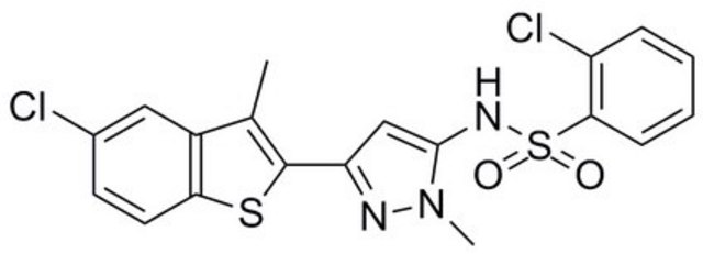 RNA 聚合酶 III抑制剂 InSolution, &#8805;97%