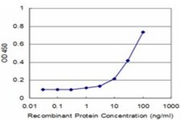 Monoclonal Anti-MAGEA1 antibody produced in mouse clone 3H5, purified immunoglobulin, buffered aqueous solution