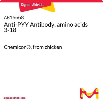 Anti-PYY Antibody, amino acids 3-18 Chemicon&#174;, from chicken