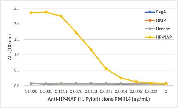 Anti-Urease (Helicobacter Pylori) Rabbit Monoclonal Antibody clone RM414, affinity purified immunoglobulin