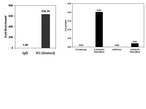 ChIPAb+ Histone H3 (Unmodified Lys4) - ChIP Validated Antibody and Primer Set clone CMA301, from mouse, purified by using protein G