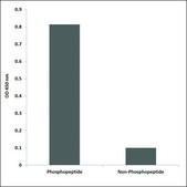 Anti-phospho-p44/42 MAP Kinase (pThr202) antibody produced in rabbit affinity isolated antibody