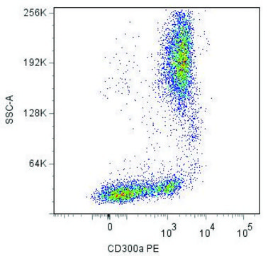 Monoclonal Anti-CD300A-PE antibody produced in mouse clone MEM-260, purified immunoglobulin, buffered aqueous solution