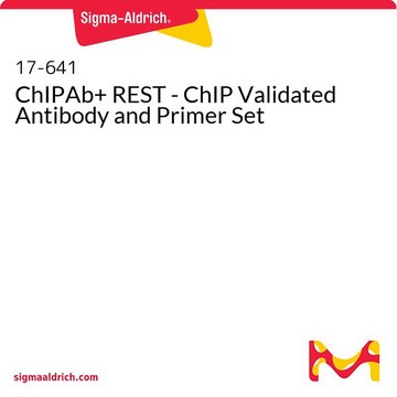 ChIPAb+ REST - ChIP经验证的抗体和引物组