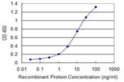 Monoclonal Anti-DLL4 antibody produced in mouse clone 2E2, purified immunoglobulin, buffered aqueous solution