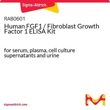 Human FGF1 / Fibroblast Growth Factor 1 ELISA Kit for serum, plasma, cell culture supernatants and urine