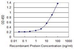 Monoclonal Anti-SNPH antibody produced in mouse clone 3B6, purified immunoglobulin, buffered aqueous solution