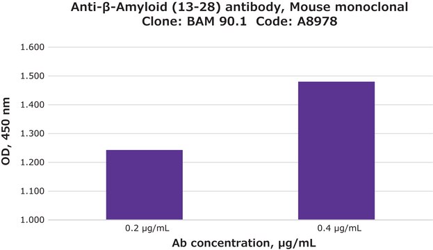 Anti-&#946;-Amyloid (13-28) antibody, Mouse monoclonal clone BAM90.1, purified from hybridoma cell culture