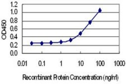抗 SYT7 单克隆抗体 小鼠抗 clone 4H4, purified immunoglobulin