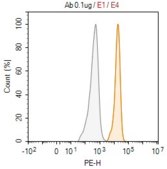 Anti-CD7 Antibody, clone 1E19 ZooMAb® Rabbit Monoclonal recombinant, expressed in HEK 293 cells