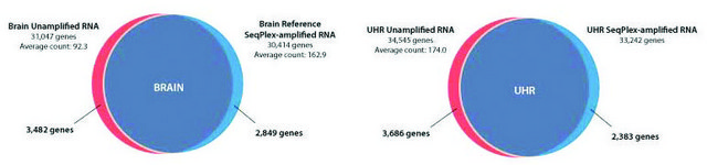 SeqPlex RNA扩增试剂盒 For use with high throughput sequencing technologies