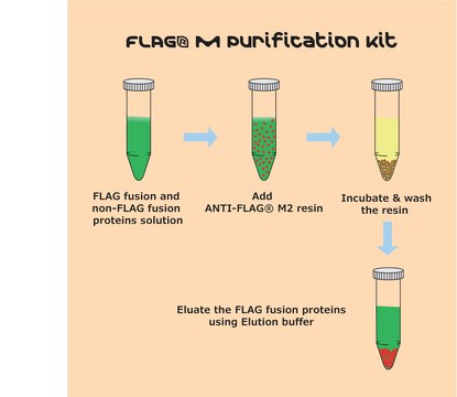 FLAG&#174; M Purification Kit For Mammalian expression systems.