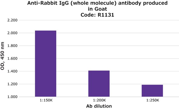 Anti-Rabbit IgG (whole molecule) antibody produced in goat whole antiserum