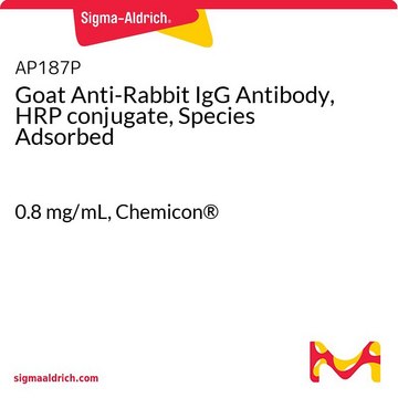 Goat Anti-Rabbit IgG Antibody, HRP conjugate, Species Adsorbed 0.8&#160;mg/mL, Chemicon&#174;