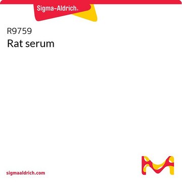 Rat serum