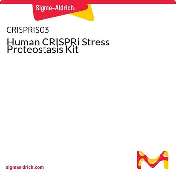 Human CRISPRi Stress Proteostasis Kit