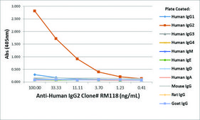 Anti-Human IgG2 antibody, Rabbit monoclonal recombinant, expressed in HEK 293 cells, clone RM118, purified immunoglobulin