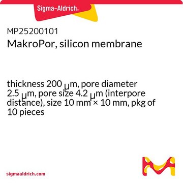 MakroPor, silicon membrane thickness 200&#160;&#956;m, pore diameter 2.5&#160;&#956;m, pore size 4.2&#160;&#956;m (interpore distance), size 10&#160;mm × 10&#160;mm, pkg of 10&#160;pieces