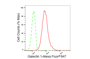 KD-Validated Anti Galectin 1 Antibody, clone 23GB6280, Rabbit Monoclonal clone 23GB6280, recombinant rabbit monoclonal, expressed in HEK293 cells
