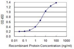 Monoclonal Anti-SCYL3 antibody produced in mouse clone 3D3, purified immunoglobulin, buffered aqueous solution