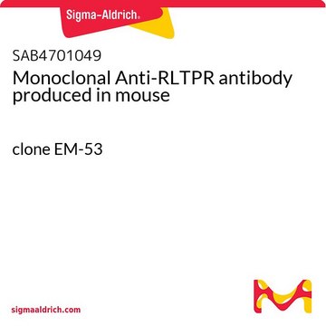 Monoclonal Anti-RLTPR antibody produced in mouse clone EM-53