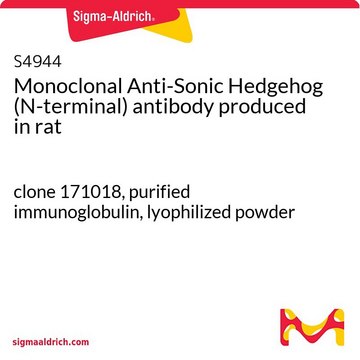 Monoclonal Anti-Sonic Hedgehog (N-terminal) antibody produced in rat clone 171018, purified immunoglobulin, lyophilized powder