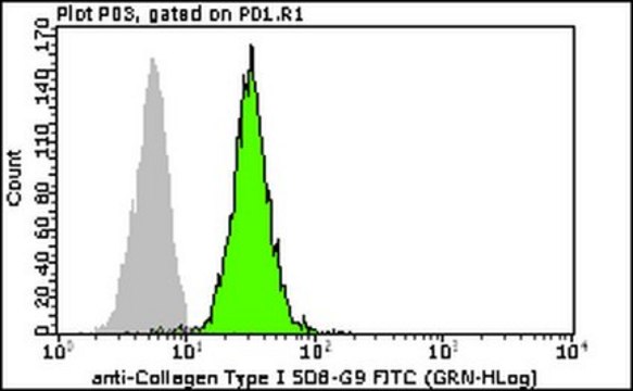 Milli-Mark&#174; Anti-Collagen Type I-FITC Antibody, clone 5D8-G9 clone 5D8-G9, Milli-Mark&#174;, from mouse