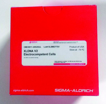 XLDNA V2 Electrocompetent cells for BAC &amp; cosmid cloning