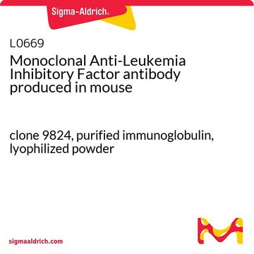 抗-白血病抑制因子单克隆抗体 小鼠抗 clone 9824, purified immunoglobulin, lyophilized powder