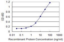 Monoclonal Anti-SDS antibody produced in mouse clone 1A9, purified immunoglobulin, buffered aqueous solution