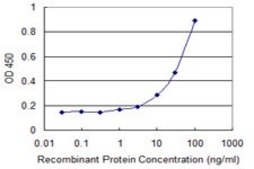 Monoclonal Anti-PLXDC2 antibody produced in mouse clone 4G10, purified immunoglobulin, buffered aqueous solution