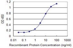 Monoclonal Anti-COMMD3 antibody produced in mouse clone 2E2, purified immunoglobulin, buffered aqueous solution