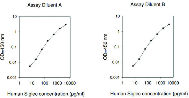 Human Siglec-5 ELISA Kit for serum, plasma, cell culture supernatants and urine