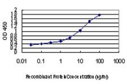 Monoclonal Anti-SMAD6 antibody produced in mouse clone 4F4, purified immunoglobulin, buffered aqueous solution