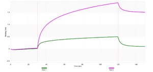 Anti-ATP2A2/SERCA2 Antibody, clone 1G13 ZooMAb&#174; Rabbit Monoclonal recombinant, expressed in HEK 293 cells
