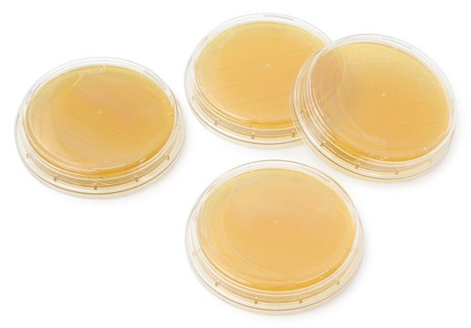 Tryptic Soy Agar - Ready-to-use Contact Plates Tween&#174;, Sodium thiosulfate, Histidine, Lecithin, ICR plate with non-lockable lid, plate diam. 55&#160;mm, sterile; &#947;-irradiated, pkg of 10&#160;plates Triple packed, suitable for surface monitoring