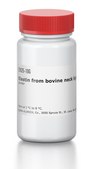 Elastin from bovine neck ligament powder
