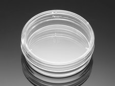 Corning® Falcon® Bacteriological Petri Dish W × L 35 mm × 10 mm, lid, easy grip, sterile