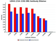 Anti-LDHA (216-228) antibody produced in rabbit IgG fraction of antiserum, buffered aqueous solution