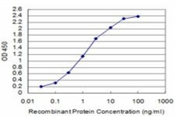 Monoclonal Anti-SIX4 antibody produced in mouse clone 5D4, purified immunoglobulin, buffered aqueous solution