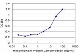 Monoclonal Anti-TMSB10 antibody produced in mouse clone 2E3, purified immunoglobulin, buffered aqueous solution