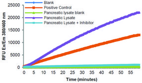 Chymotrypsin Activity Assay Kit sufficient for 100 fluorometric&nbsp;tests